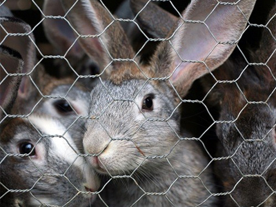 97721513820727.jpg 97721513820727.jpg